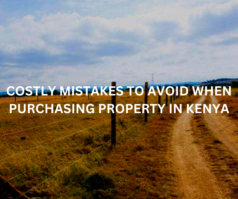 blog img