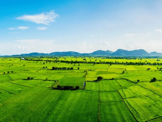 Understanding Land Ownership in Kenya